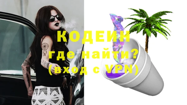 крисы Бородино