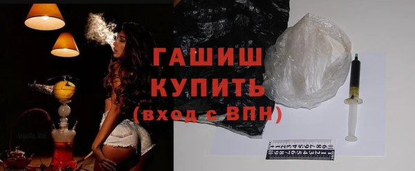 крисы Бородино