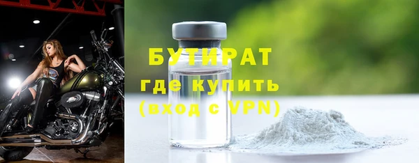 крисы Бородино