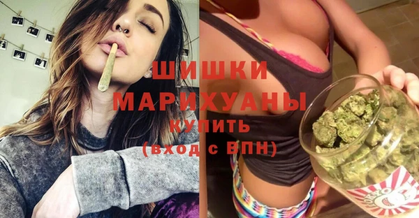 крисы Бородино