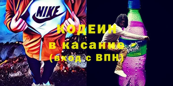 крисы Бородино