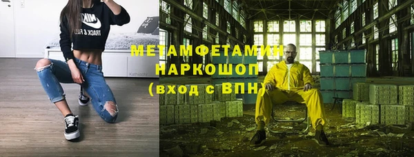 крисы Бородино