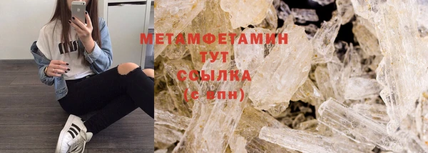 крисы Бородино
