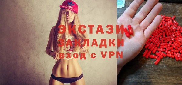 крисы Бородино