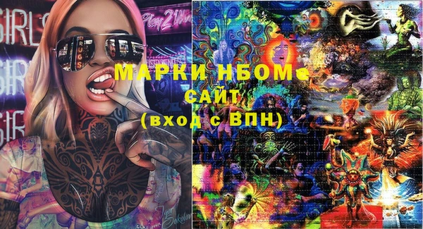 крисы Бородино