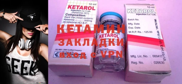 крисы Бородино