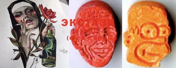 крисы Бородино