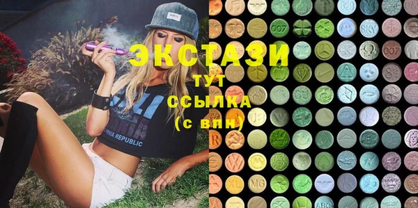 крисы Бородино