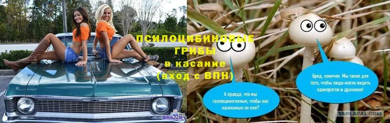 Галлюциногенные грибы мухоморы  OMG онион  Бронницы 